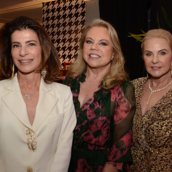 Patrícia Peltier de Queiroz, Conny Lowndes e Solange Novelle